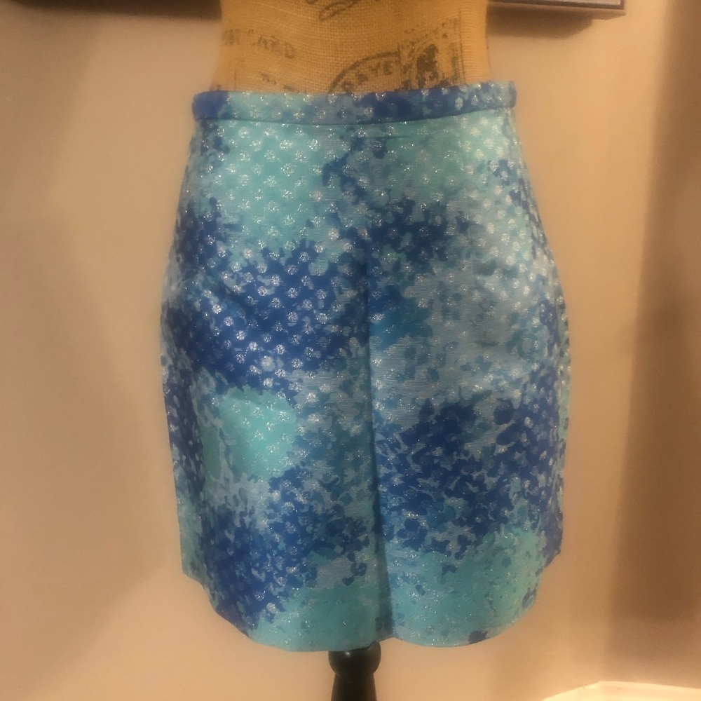 H&M Skirt
